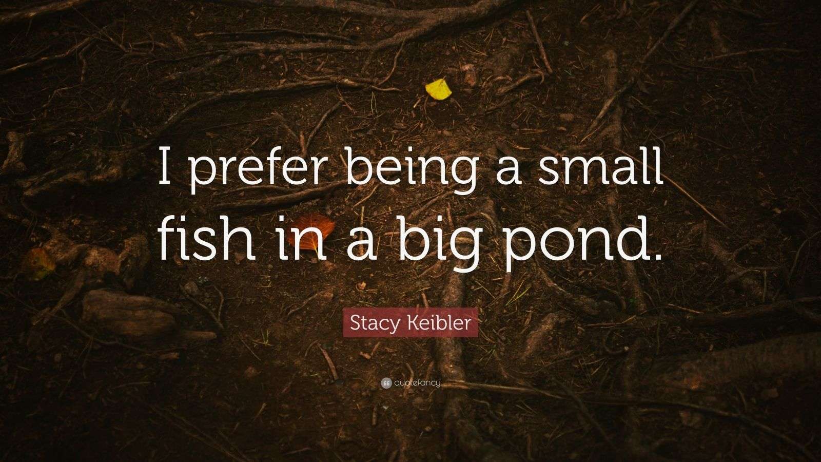 Stacy Keibler Quote “I prefer being a small fish in a big pond.” (7