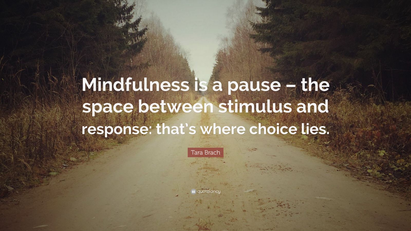 Tara Brach Quote: “Mindfulness is a pause – the space between stimulus ...