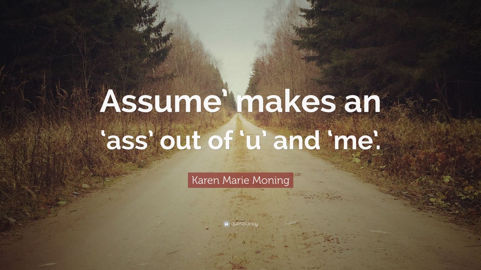 Karen Marie Moning Quote “assume Makes An ‘ass Out Of ‘u And ‘me” 7 Wallpapers Quotefancy