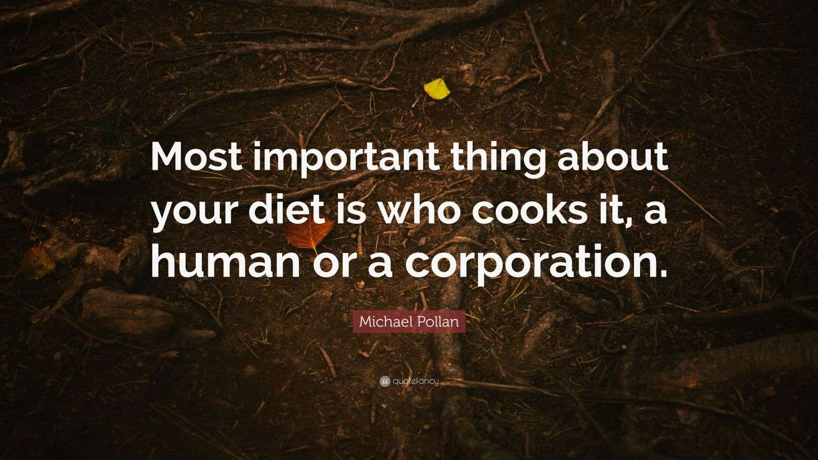 Michael Pollan Quote: “Most important thing about your diet is who