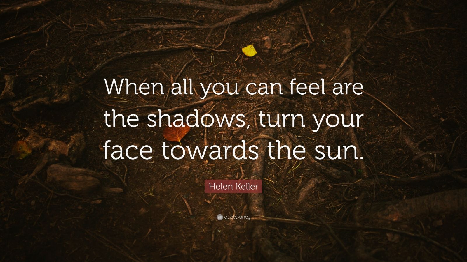 Helen Keller Quote: “When all you can feel are the shadows, turn your ...