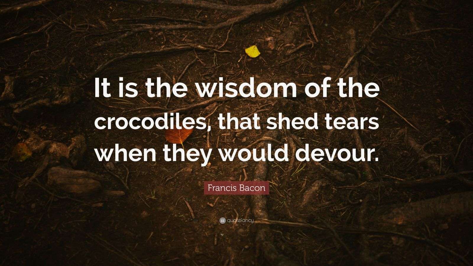 Francis Bacon Quote “It is the wisdom of the crocodiles, that shed
