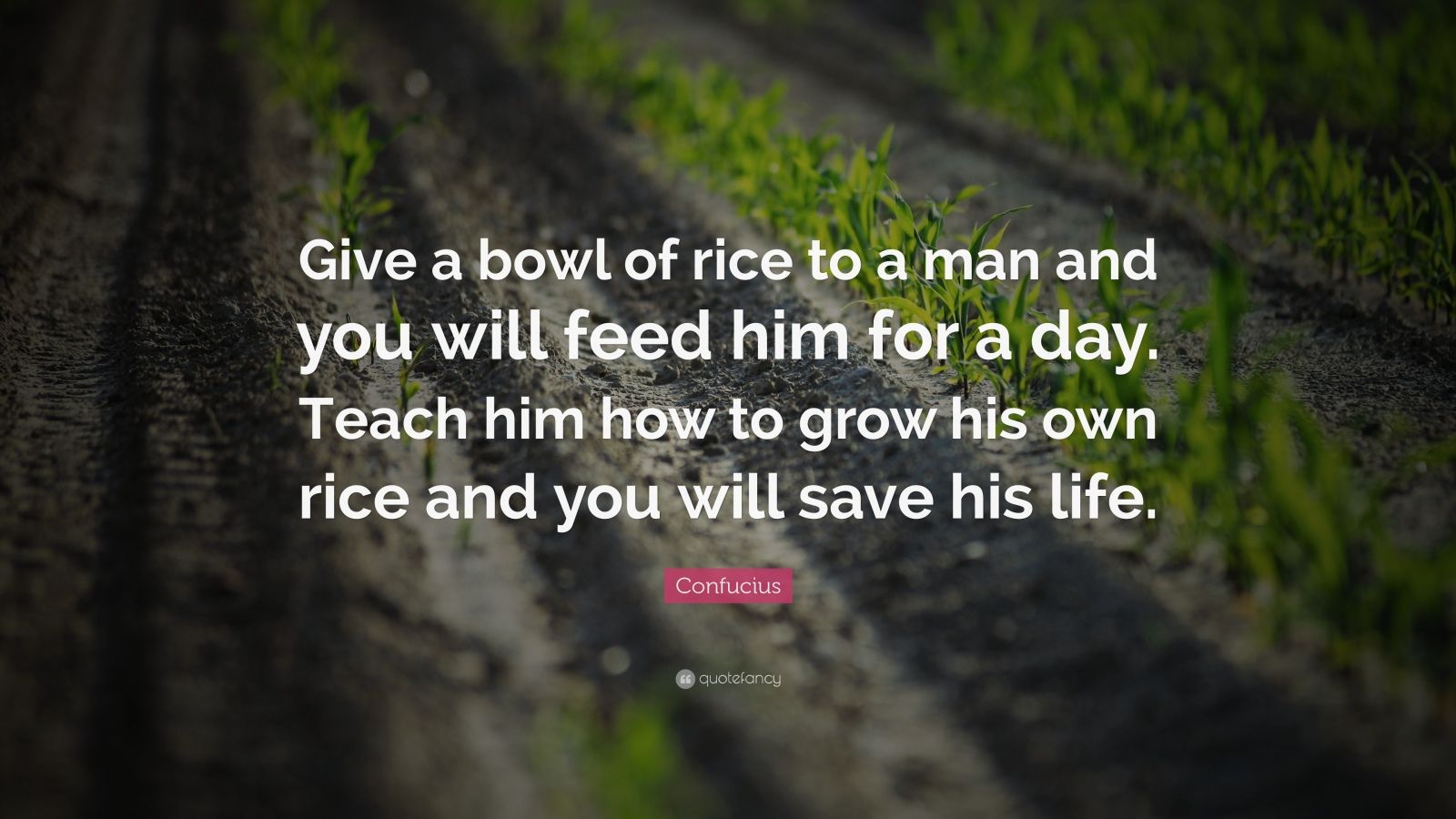 Confucius Quote: “Give a bowl of rice to a man and you will feed him ...