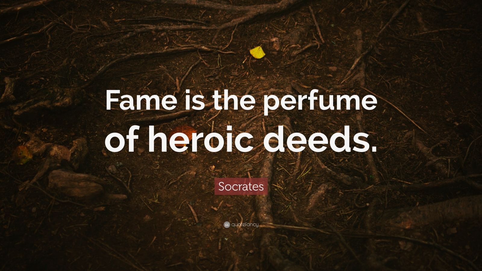 Socrates Quote: “Fame is the perfume of heroic deeds.” (6 wallpapers