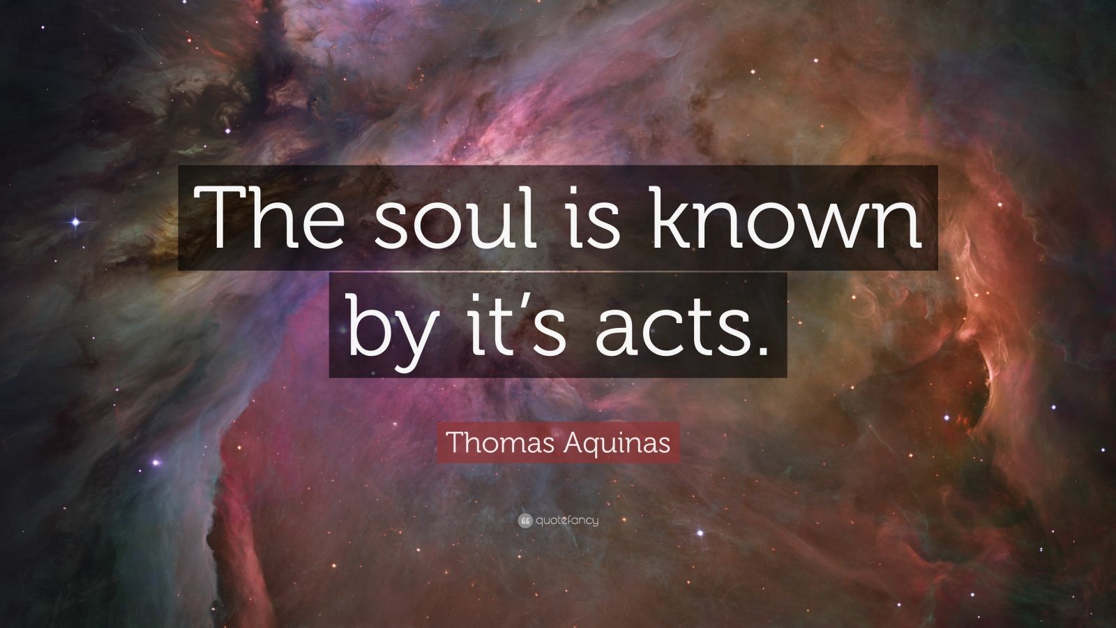 Thomas Aquinas Quote: “The Soul Is Known By It’s Acts.”