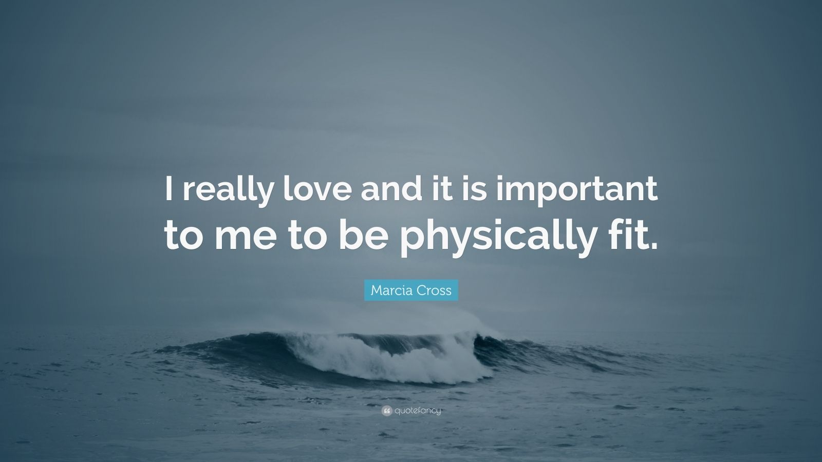 Marcia Cross Quote: “I really love and it is important to me to be