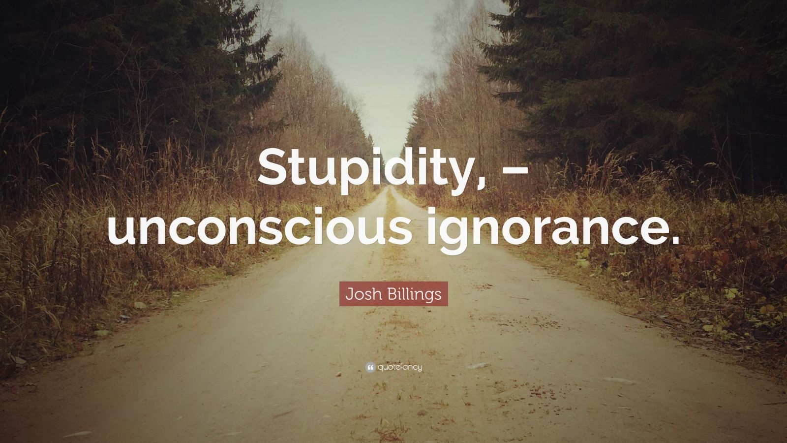 Josh Billings Quote: “Stupidity, – unconscious ignorance.”