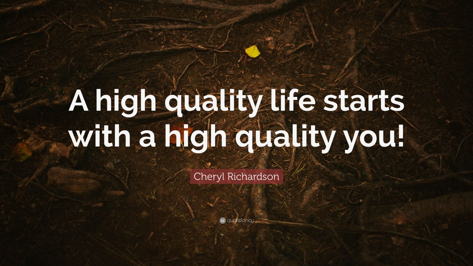 Cheryl Richardson Quote: “A high quality life starts with a high ...
