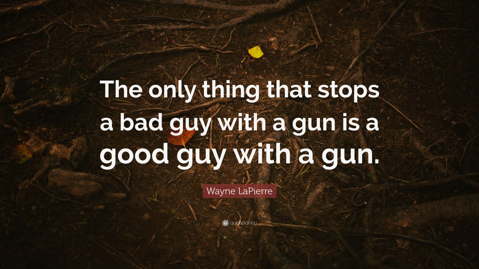 Wayne LaPierre Quote: “The only thing that stops a bad guy with a gun