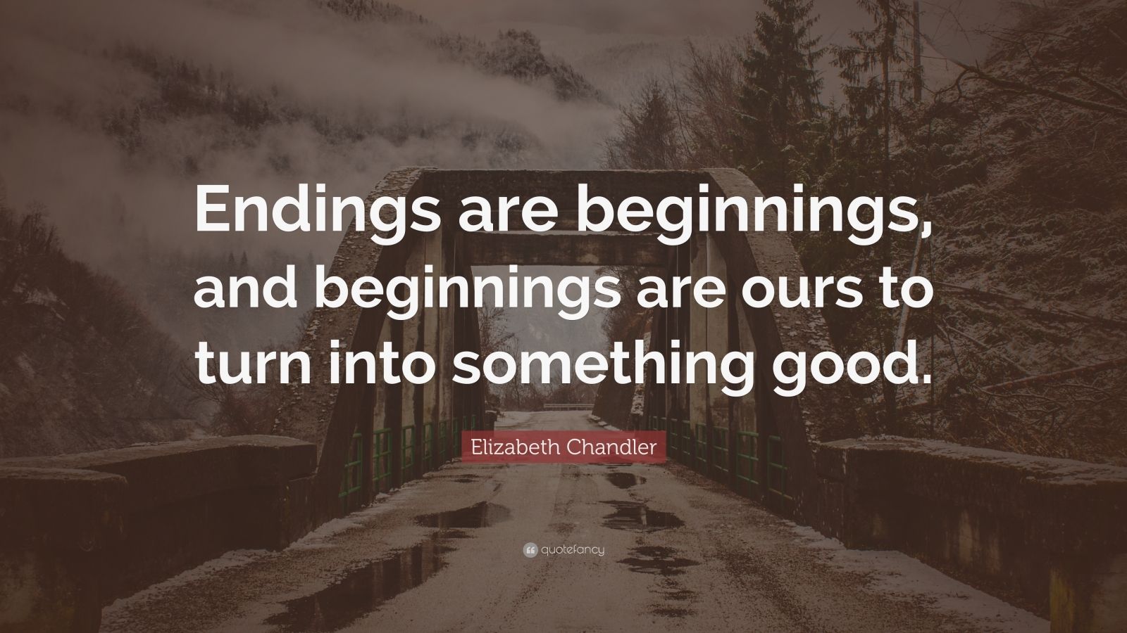 Elizabeth Chandler Quote: “Endings are beginnings, and beginnings are ...