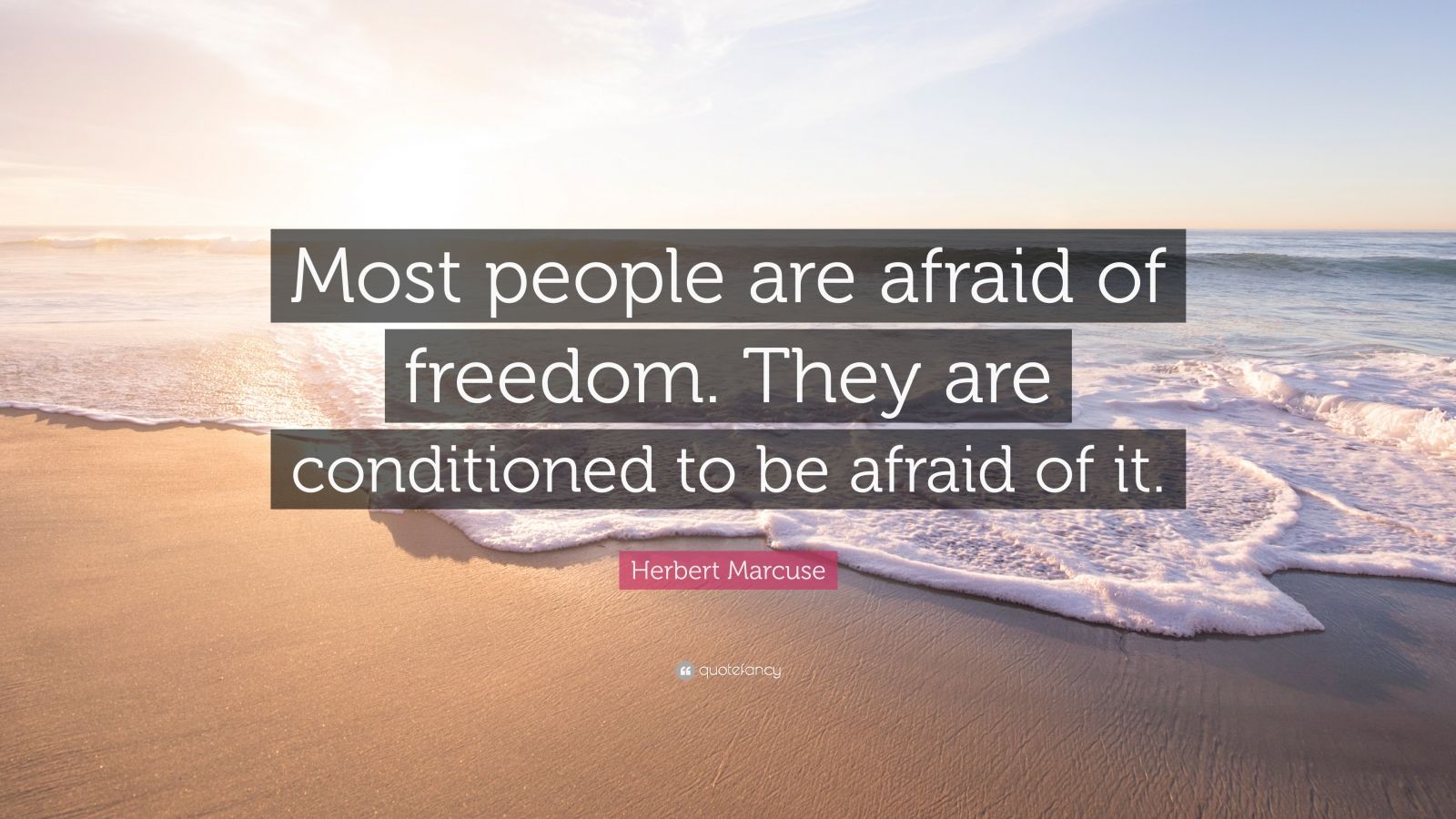 Herbert Marcuse Quote: “Most people are afraid of freedom. They are ...