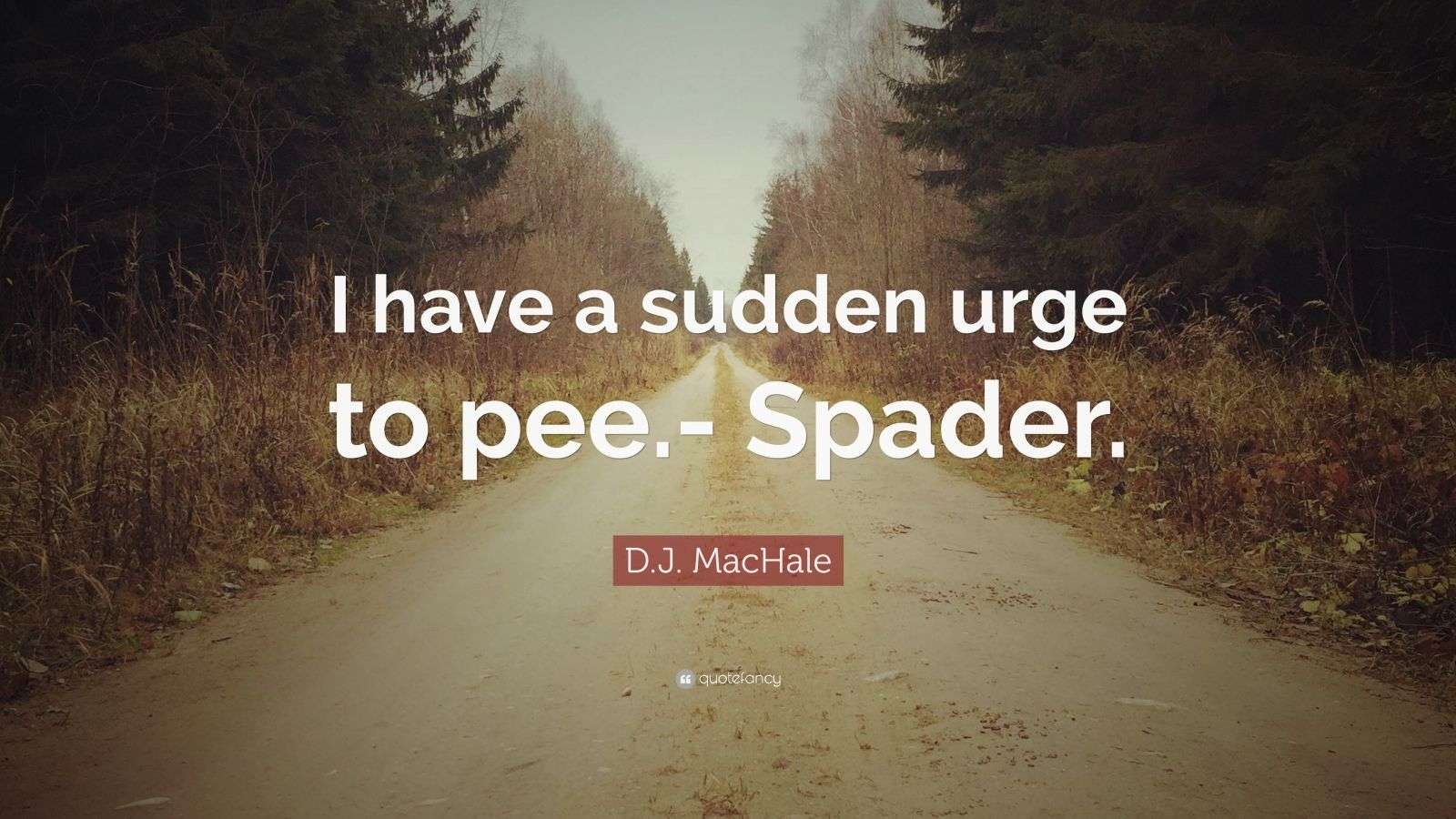 D.J. MacHale Quote “I have a sudden urge to pee. Spader.” (7