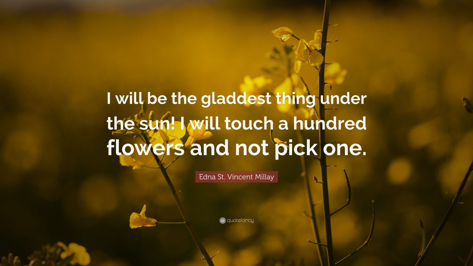 Top 30 Nature Quotes of All Time (2021 Update) - Quotefancy