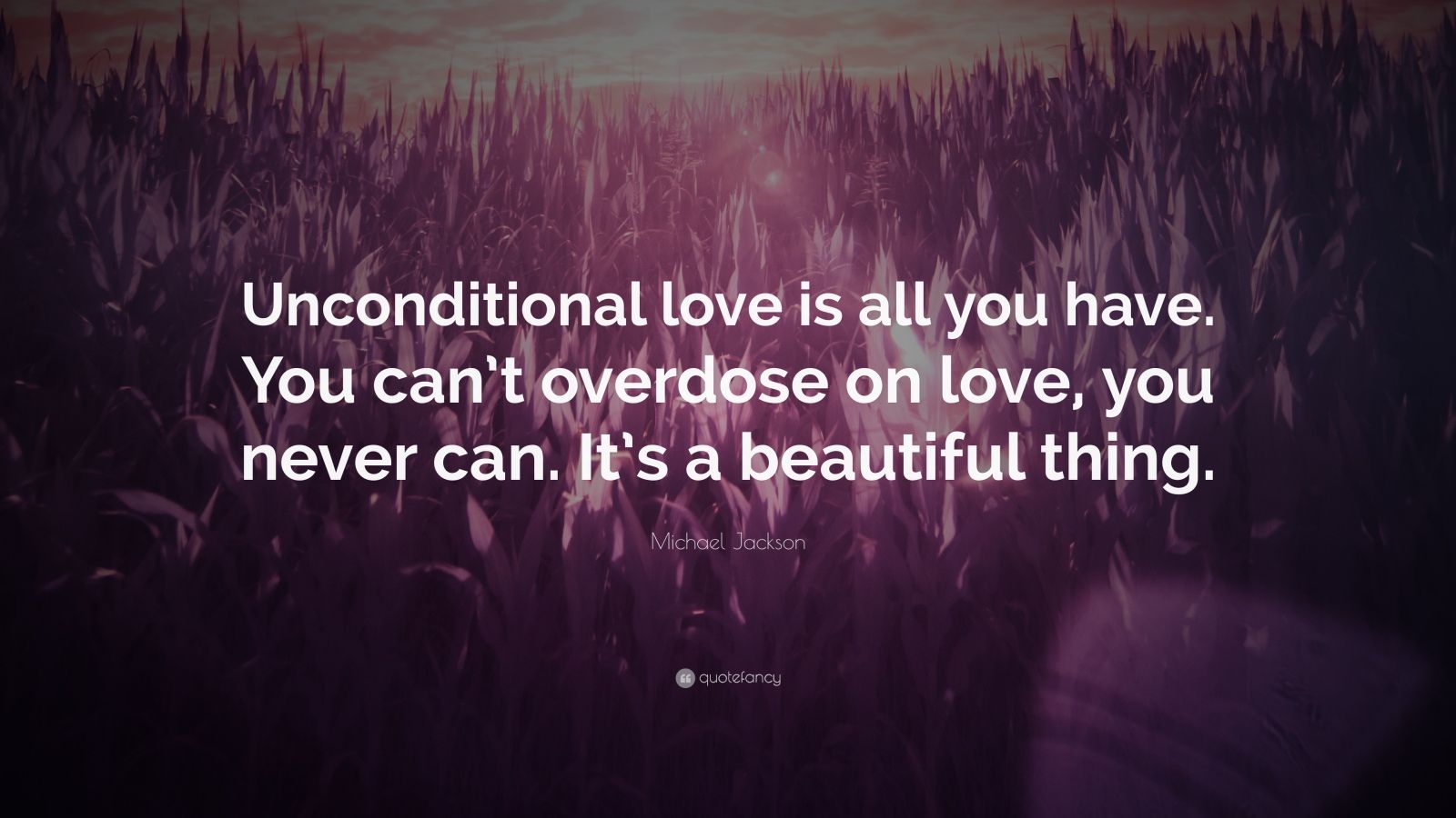 Michael Jackson Quote: “unconditional Love Is All You Have. You Can’t 