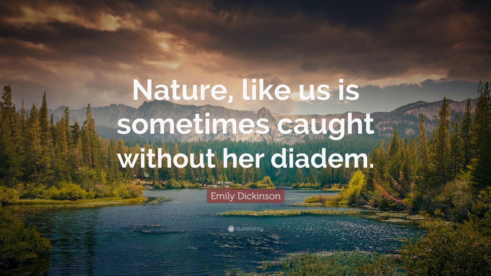 Emily Dickinson Quote: “Nature, like us is sometimes caught without her ...