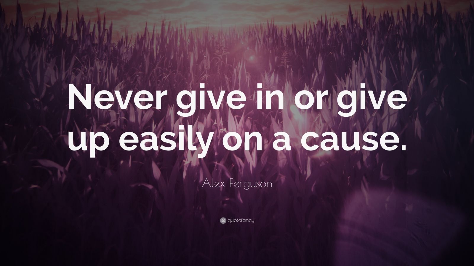 Alex Ferguson Quote: “Never give in or give up easily on a cause.”