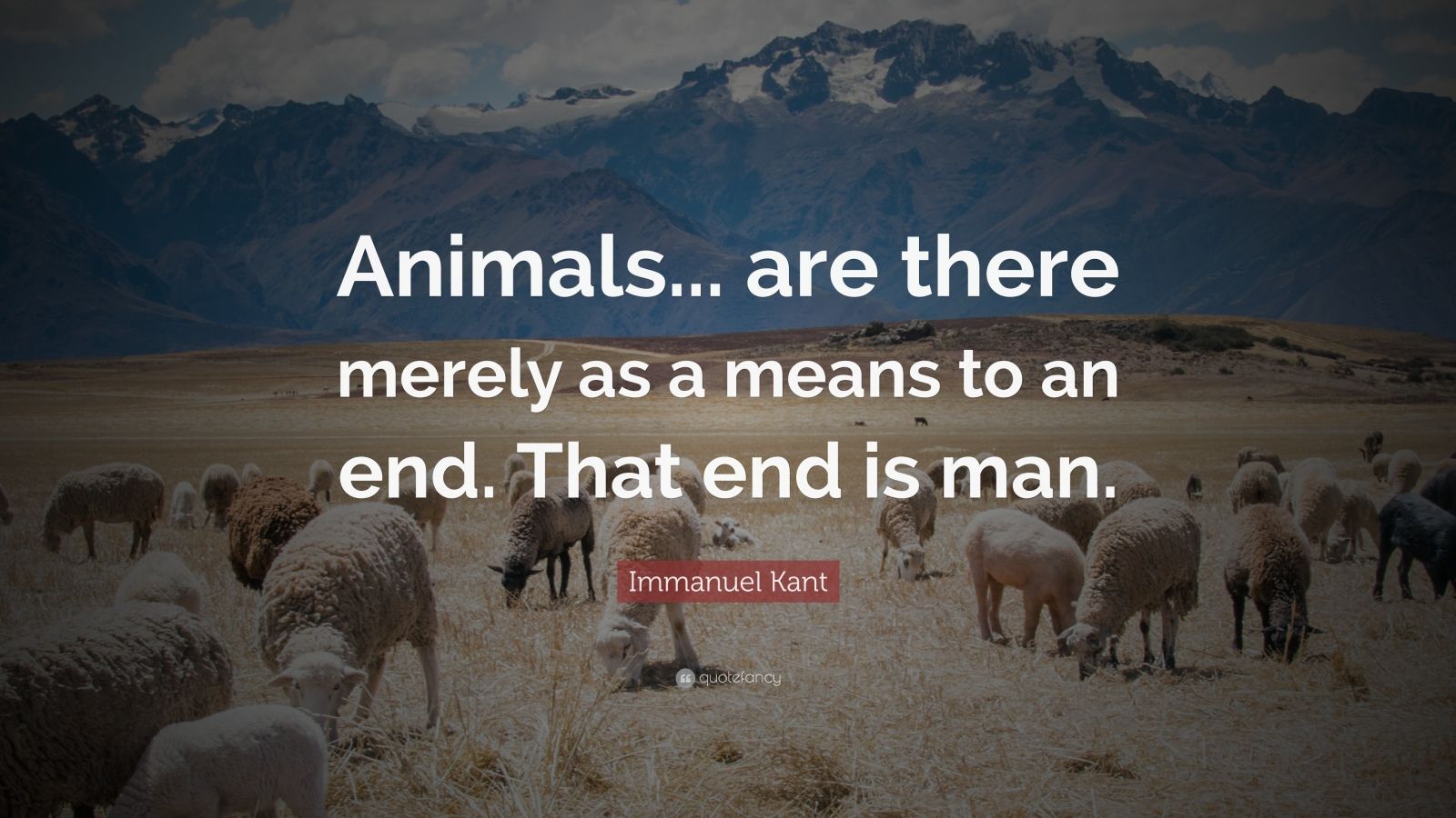 immanuel-kant-quote-animals-are-there-merely-as-a-means-to-an-end