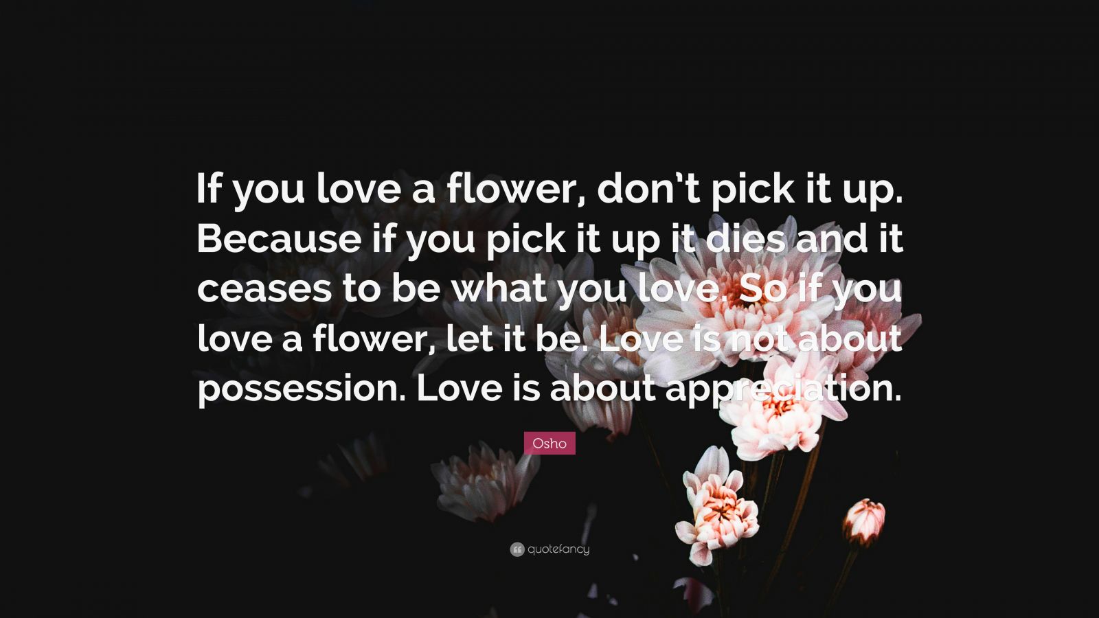Osho Quote: “If you love a flower, don’t pick it up. Because if you ...
