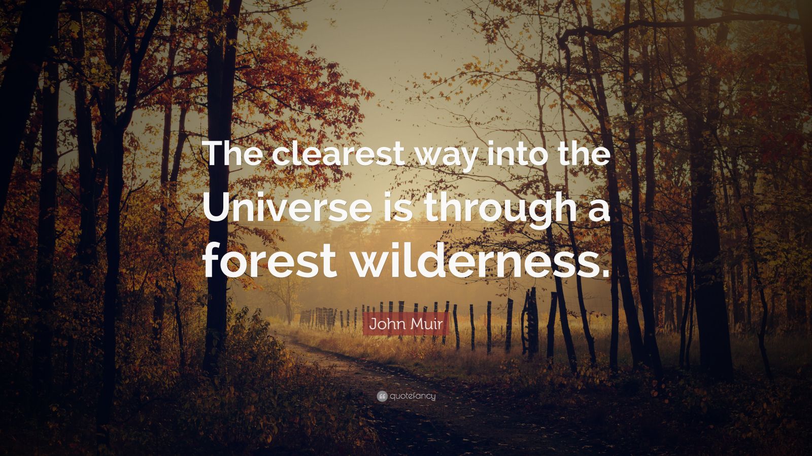 John Muir Quote: “The clearest way into the Universe is through a ...