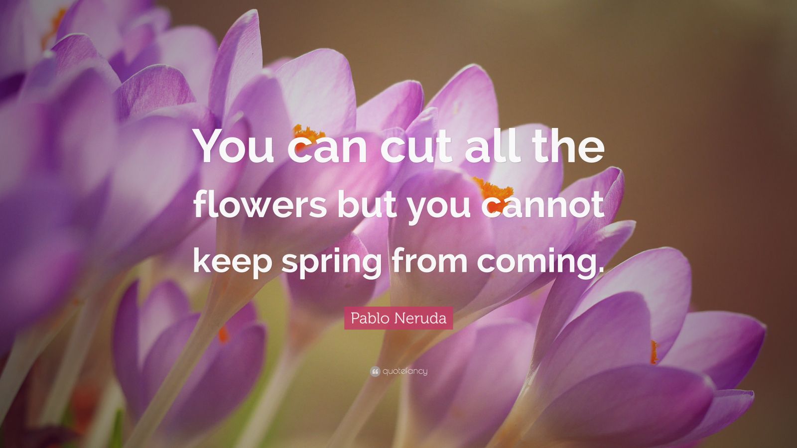 Pablo Neruda Quote: “You can cut all the flowers but you cannot keep
