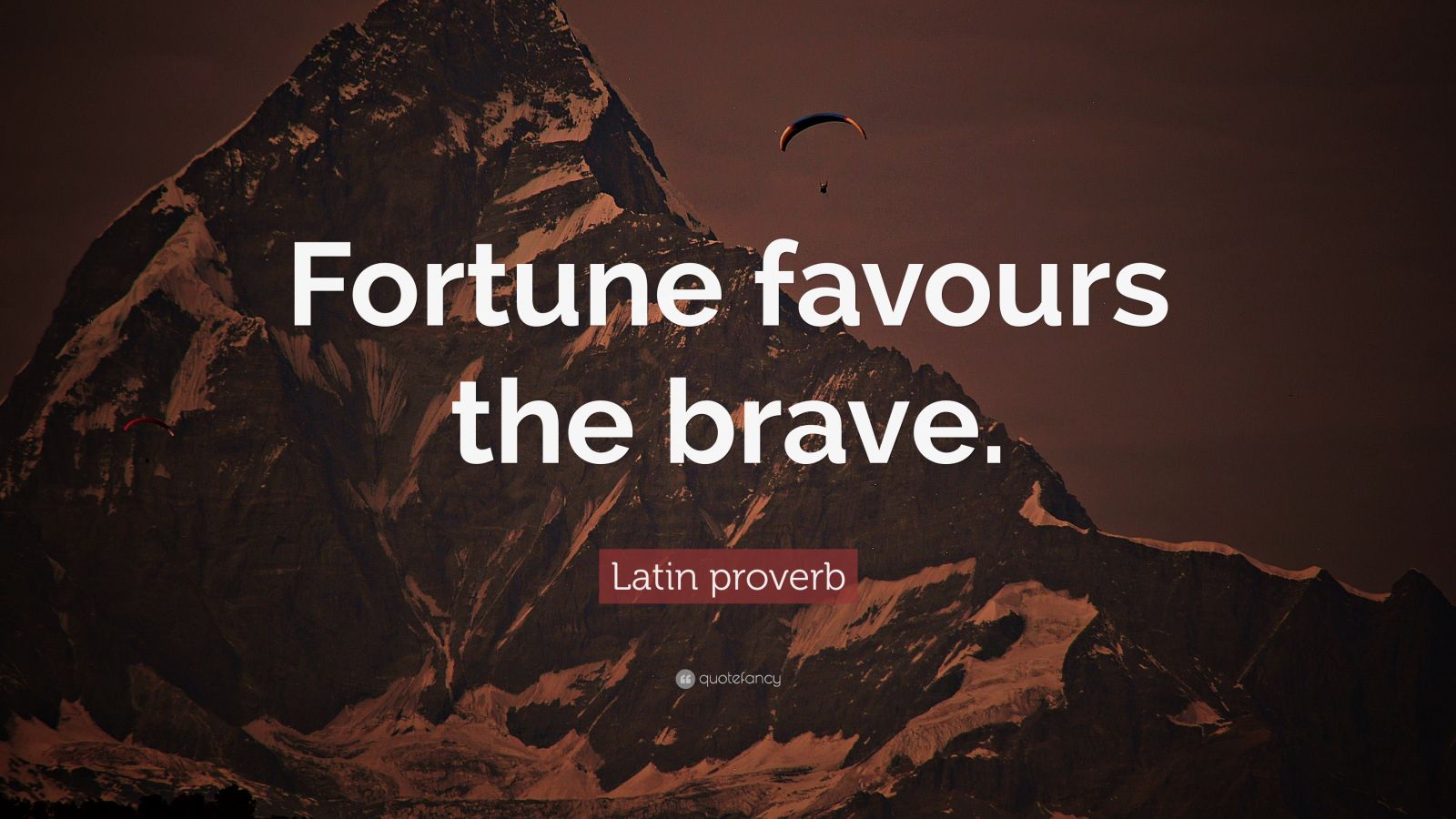 fortune favors brave meaning