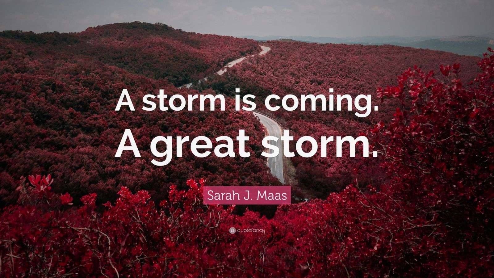 Sarah J. Maas Quote “A storm is coming. A great storm.”