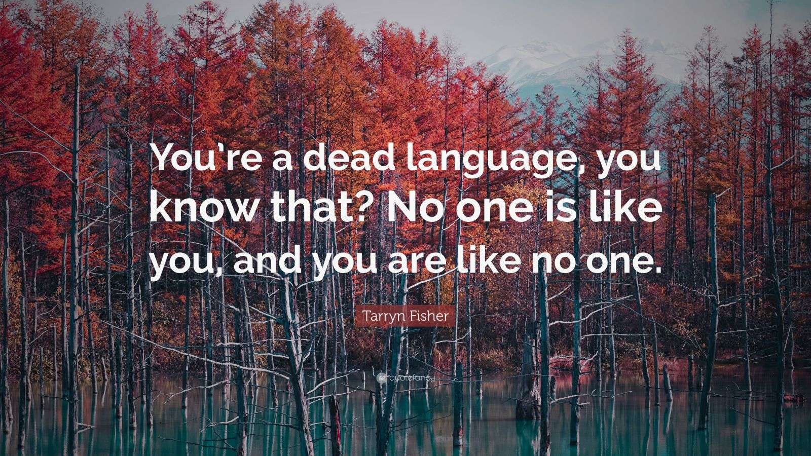 Tarryn Fisher Quote “You’re a dead language, you know that? No one is