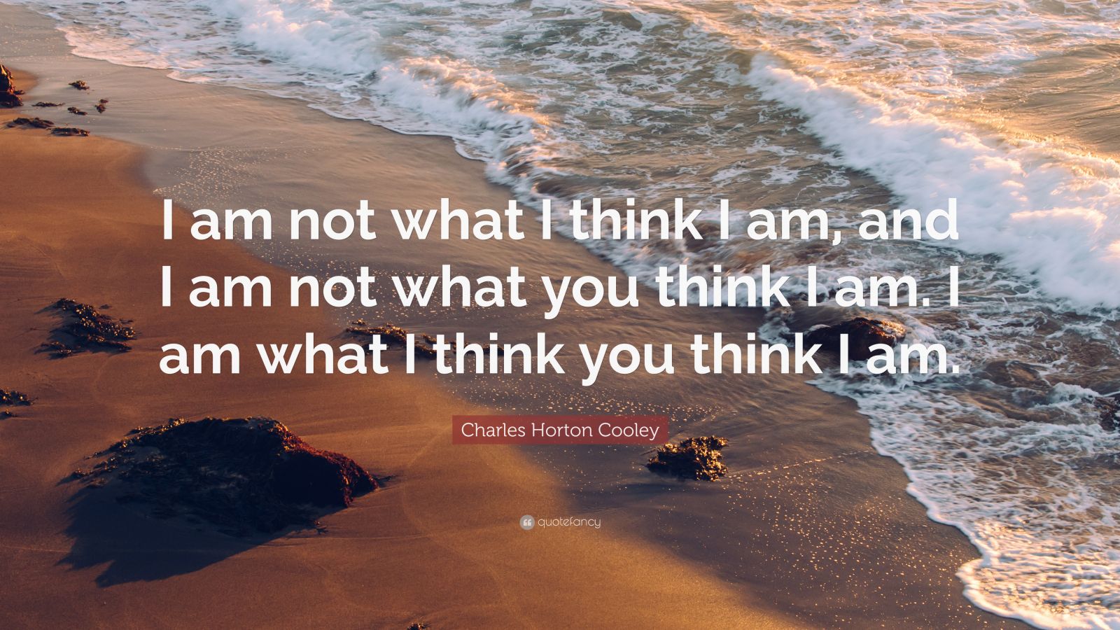 Charles Horton Cooley Quote: “I am not what I think I am, and I am ...