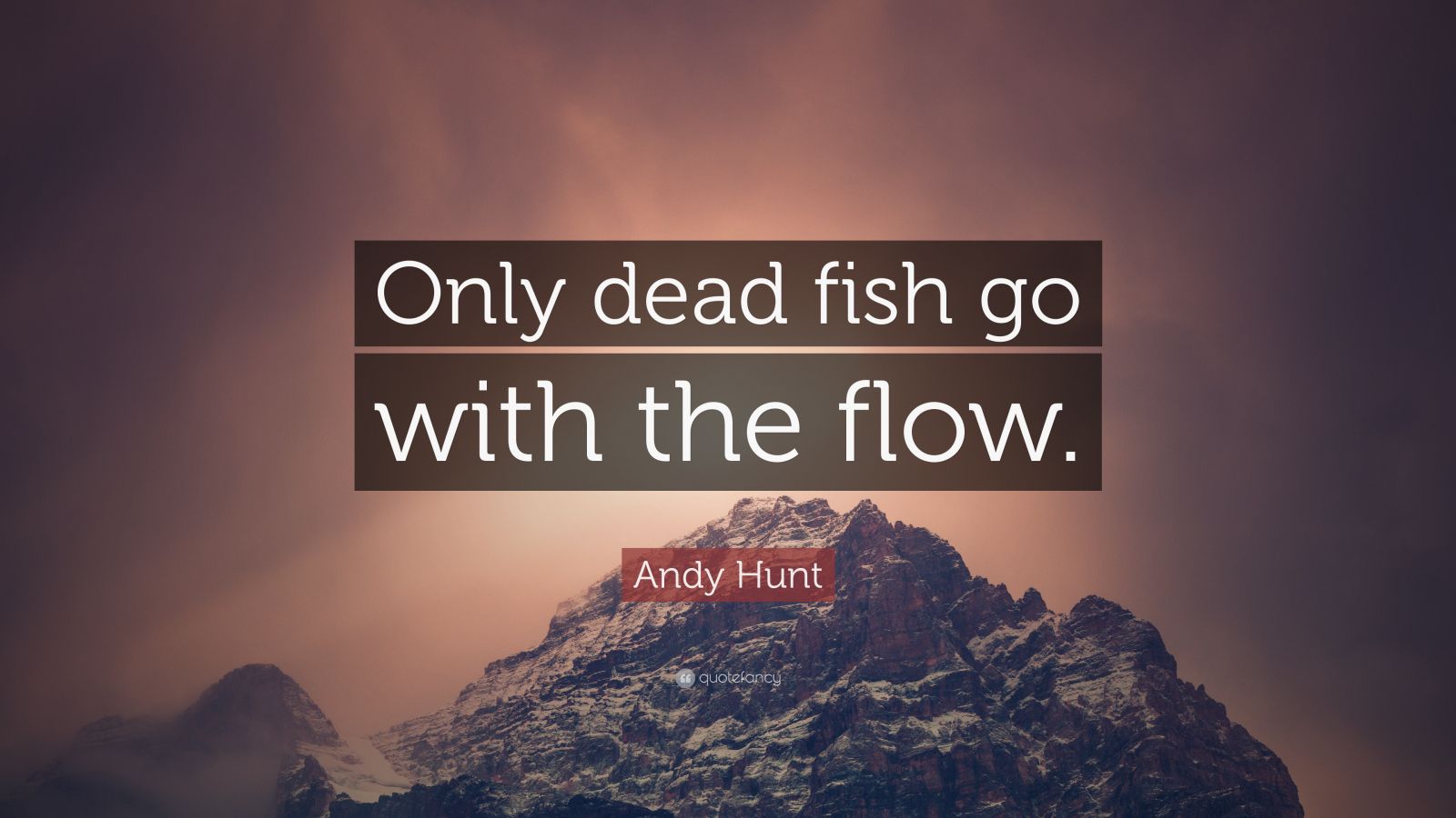 Andy Hunt Quote Only Dead Fish Go With The Flow 2 Wallpapers