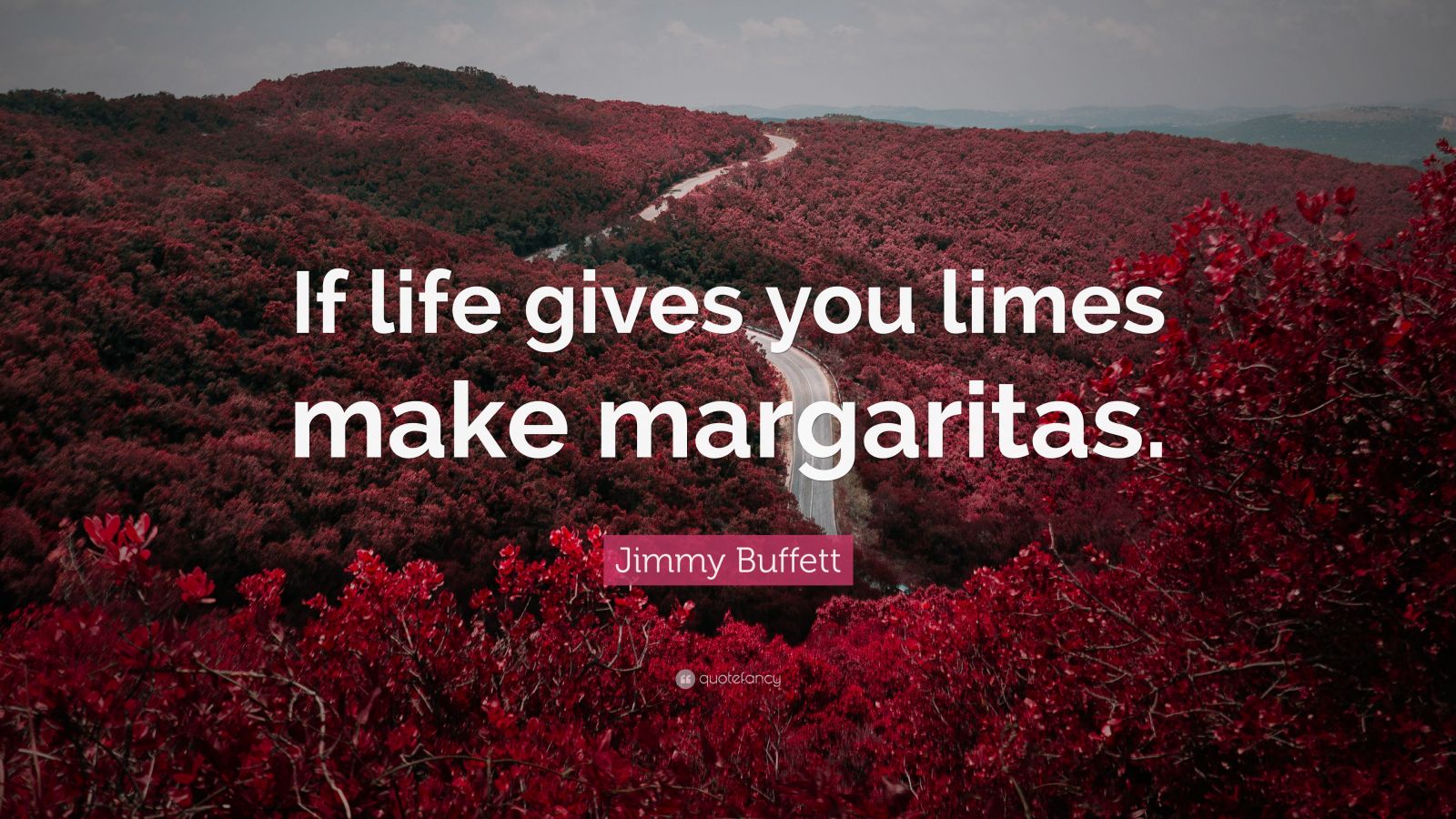 NEW If Life Gives You Limes Make Margaritas Hostess Gift Jimmy 
