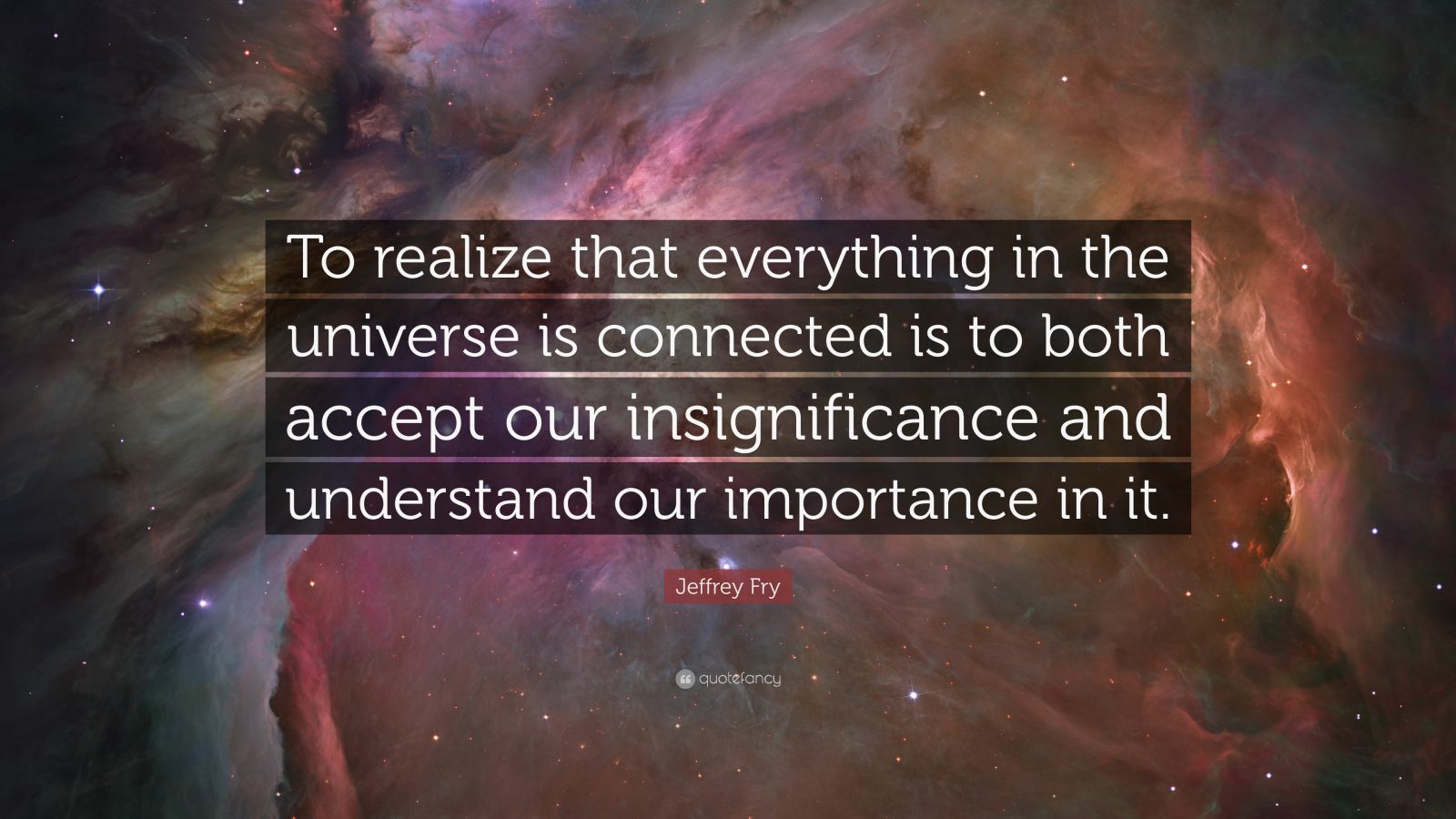Jeffrey Fry Quote “to Realize That Everything In The Universe Is Connected Is To Both Accept 