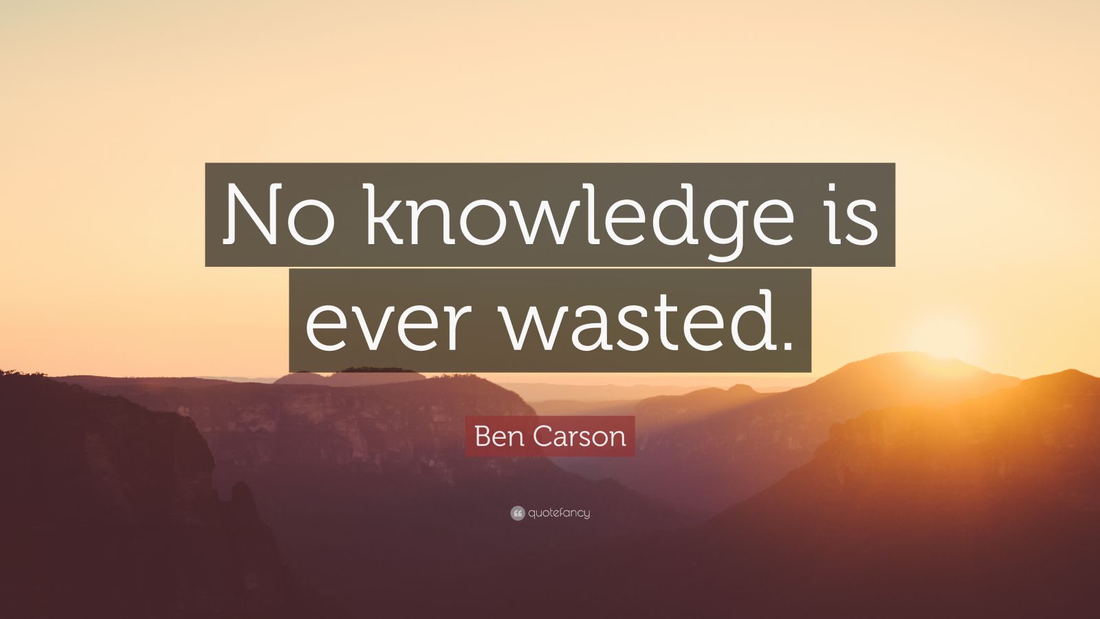 Ben Carson Quote “No knowledge is ever wasted.”