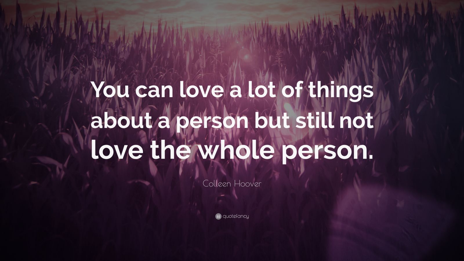 Colleen Hoover Quote: “you Can Love A Lot Of Things About A Person But 