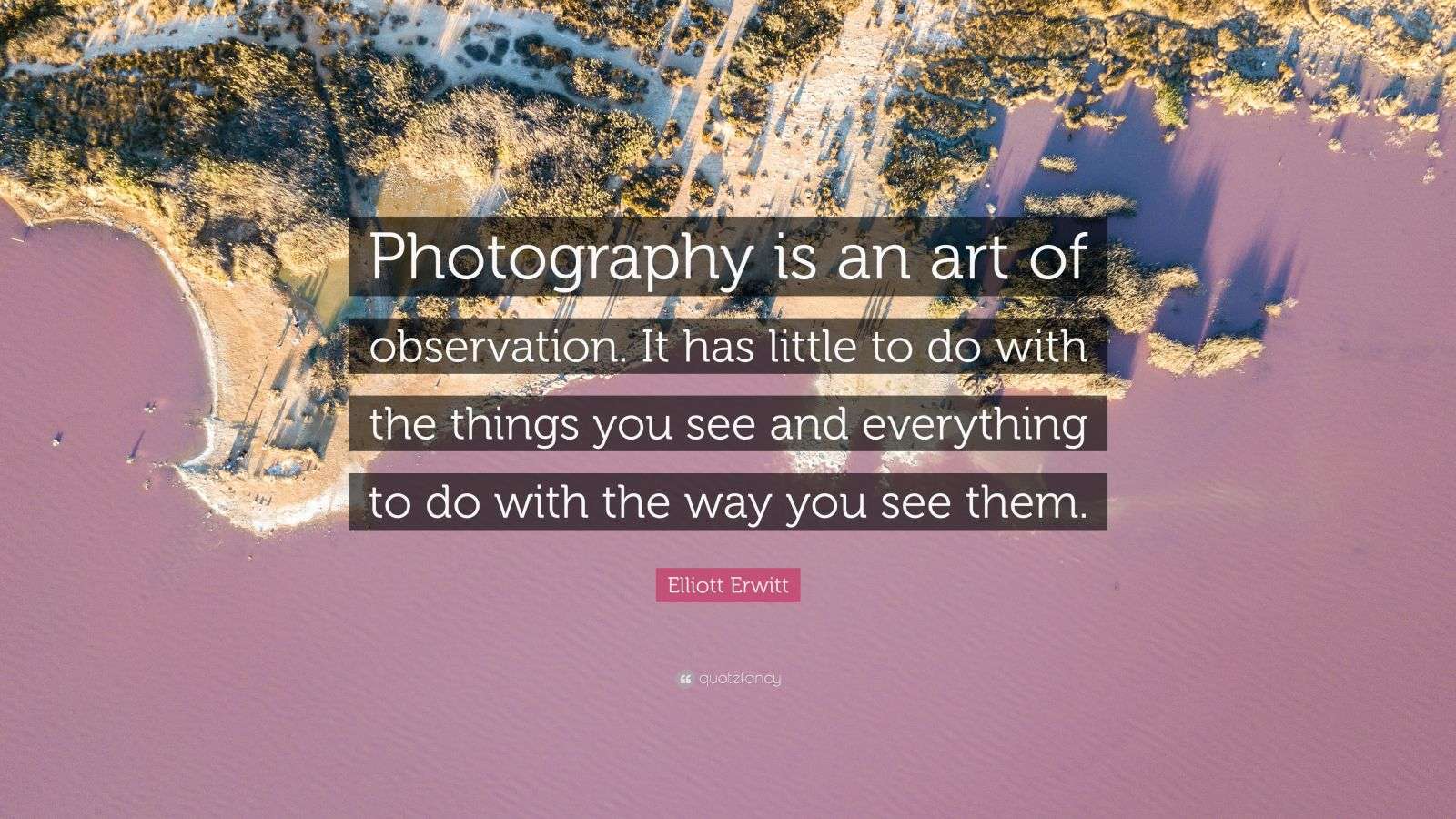 Elliott Erwitt Quote “Photography is an art of observation. It has little to do with the things