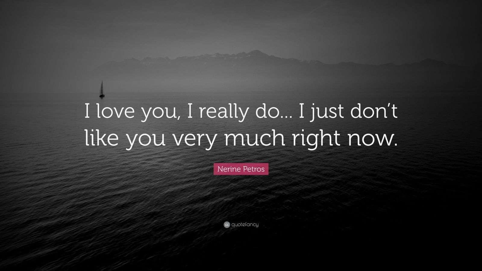Nerine Petros Quote: “I love you, I really do... I just don’t like you