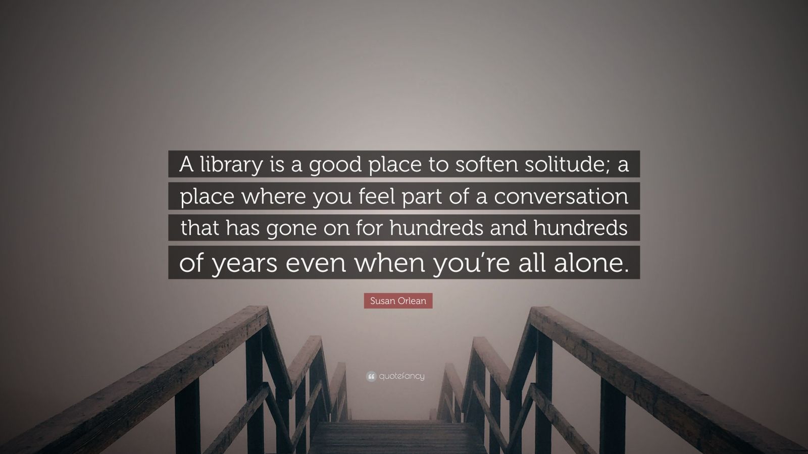 A Place to Soften Solitude: The Library Book by Susan Orlean