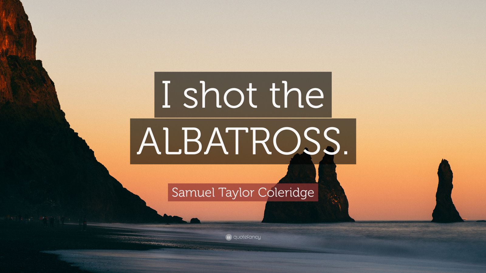 Samuel Taylor Coleridge Quote “I shot the ALBATROSS.”