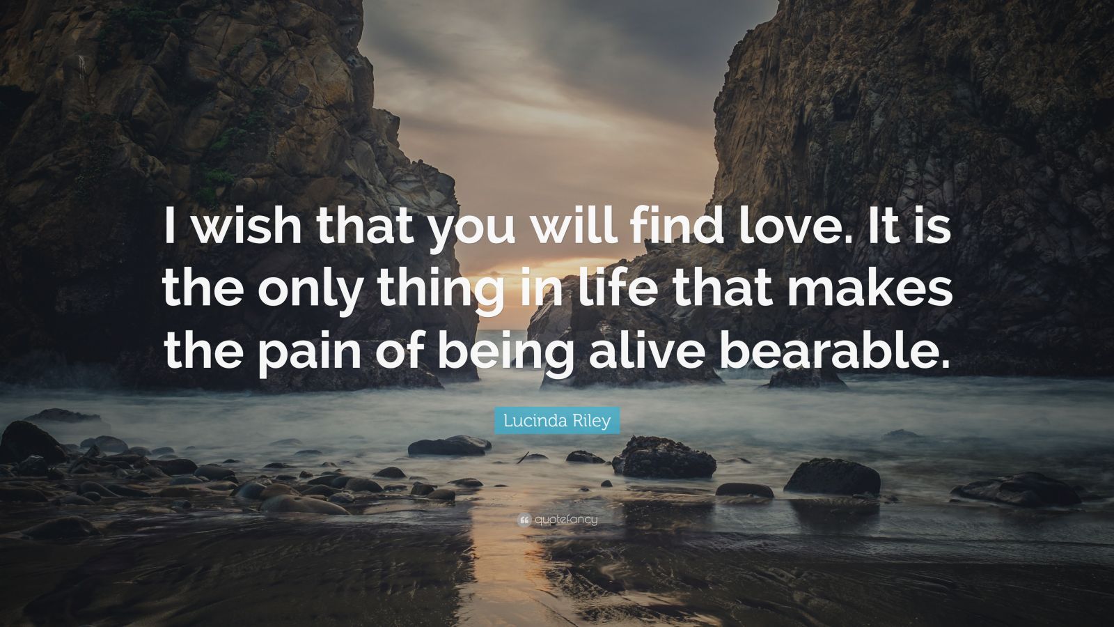 Lucinda Riley Quote: “I wish that you will find love. It is the only ...