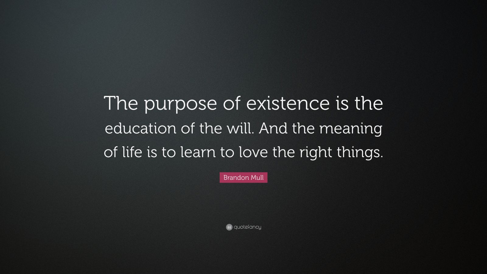 purpose of existence essay