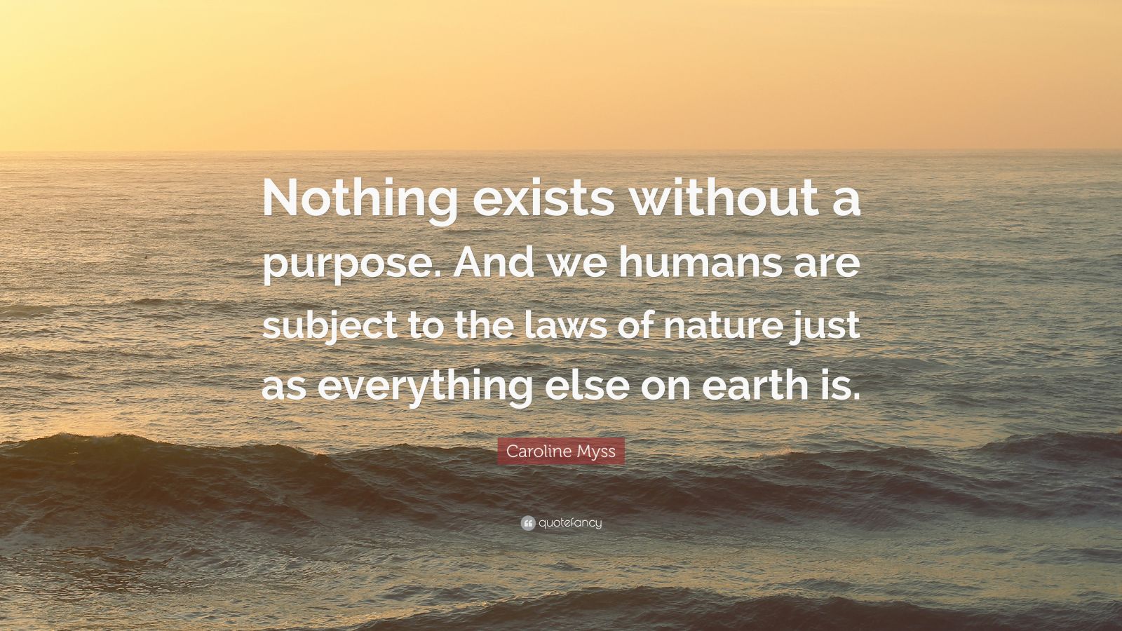 Caroline Myss Quote: “Nothing exists without a purpose. And we humans ...