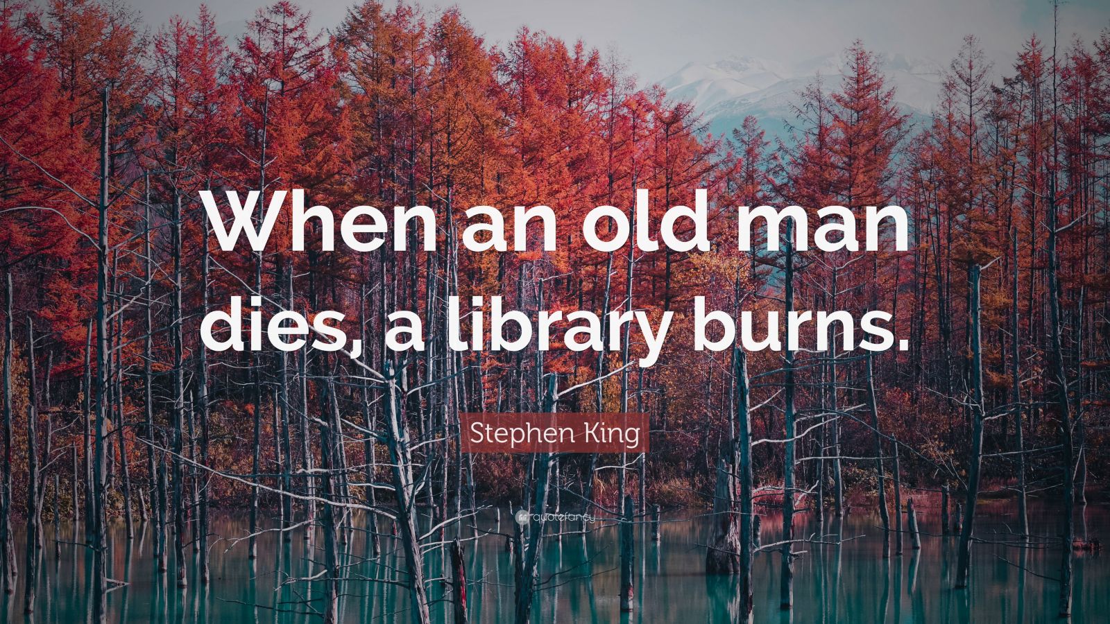6539157 Stephen King Quote When An Old Man Dies A Library Burns 