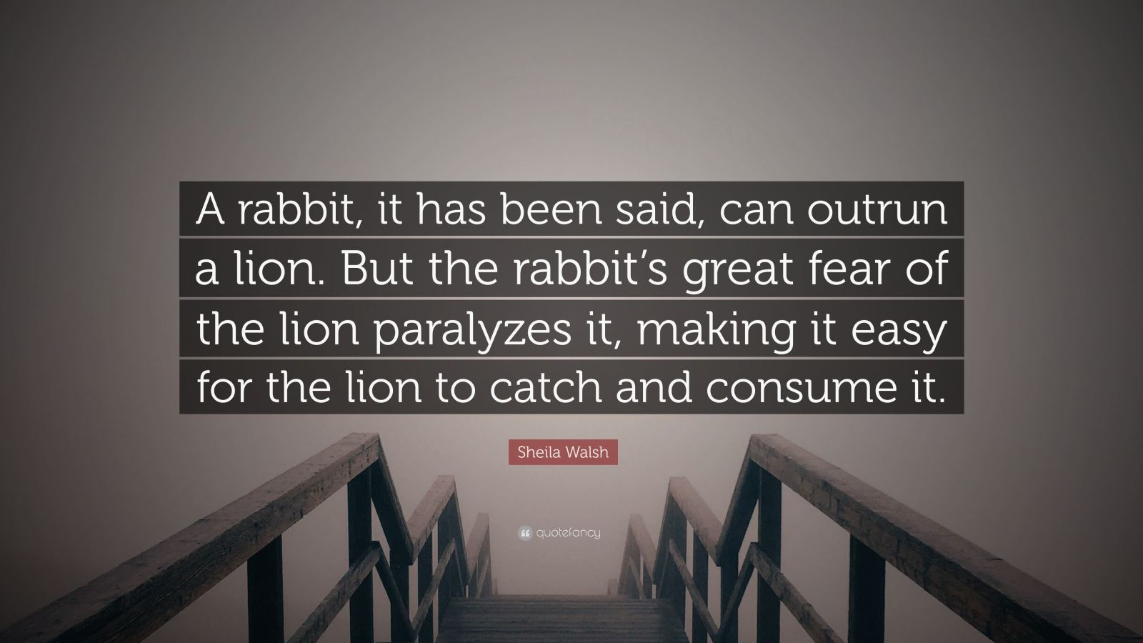 Sheila Walsh Quote: “A rabbit, it has been said, can outrun a lion. But