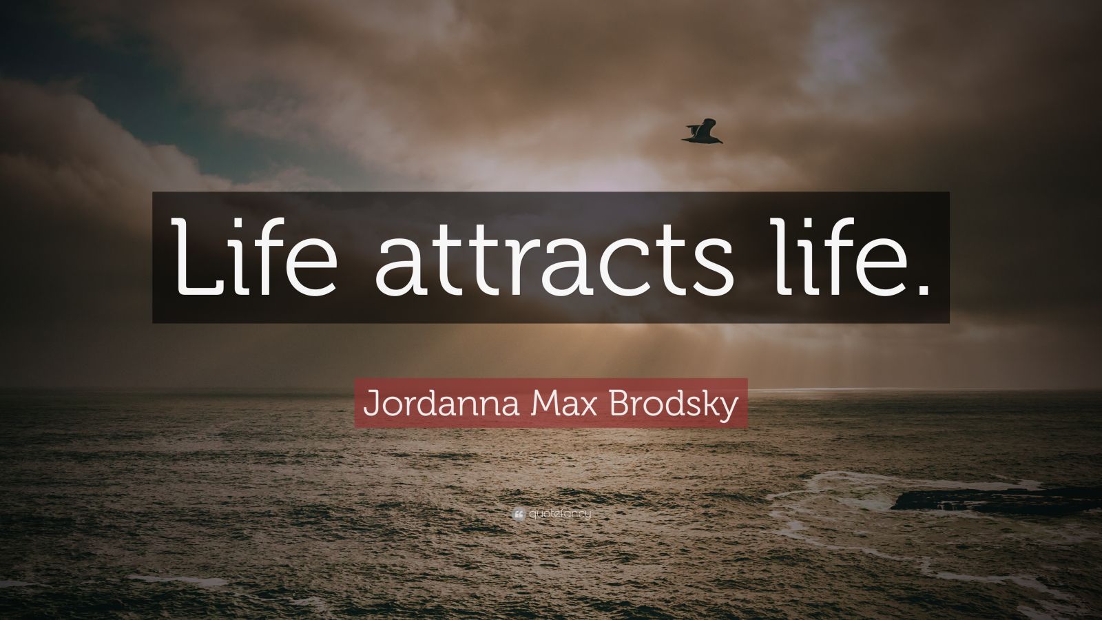 Jordanna Max Brodsky Quote “Life attracts life.”