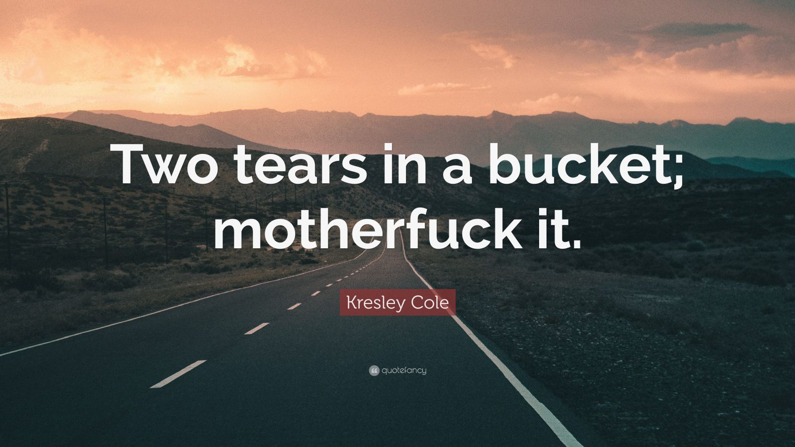 Kresley Cole Quote “Two tears in a bucket; motherfuck it.”
