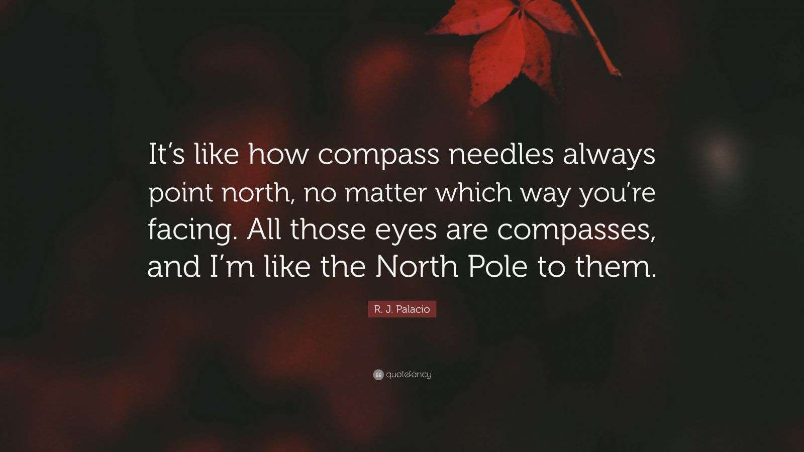 R. J. Palacio Quote “It’s like how compass needles always point north