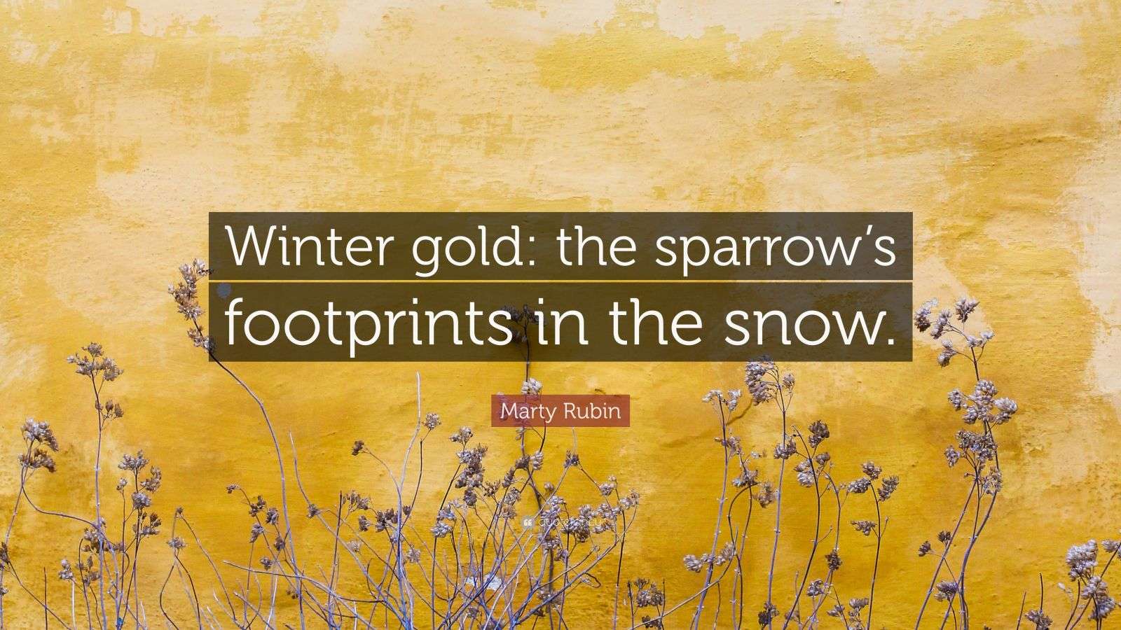 Marty Rubin Quote “Winter gold the sparrow’s footprints in the snow.”
