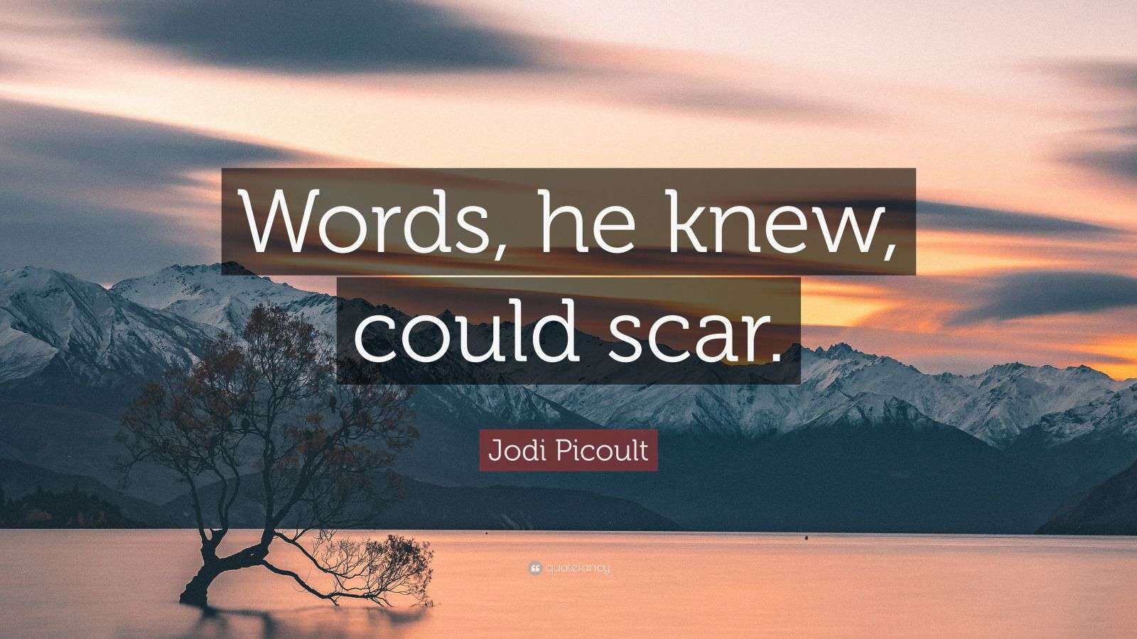 Jodi Picoult Quote “Words, he knew, could scar.”