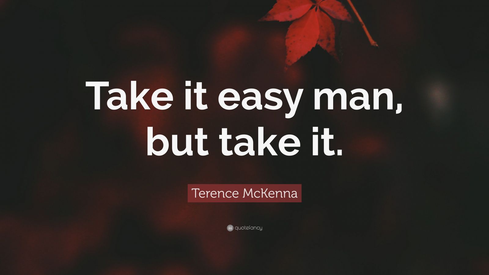 Terence McKenna Quote “Take it easy man, but take it.”