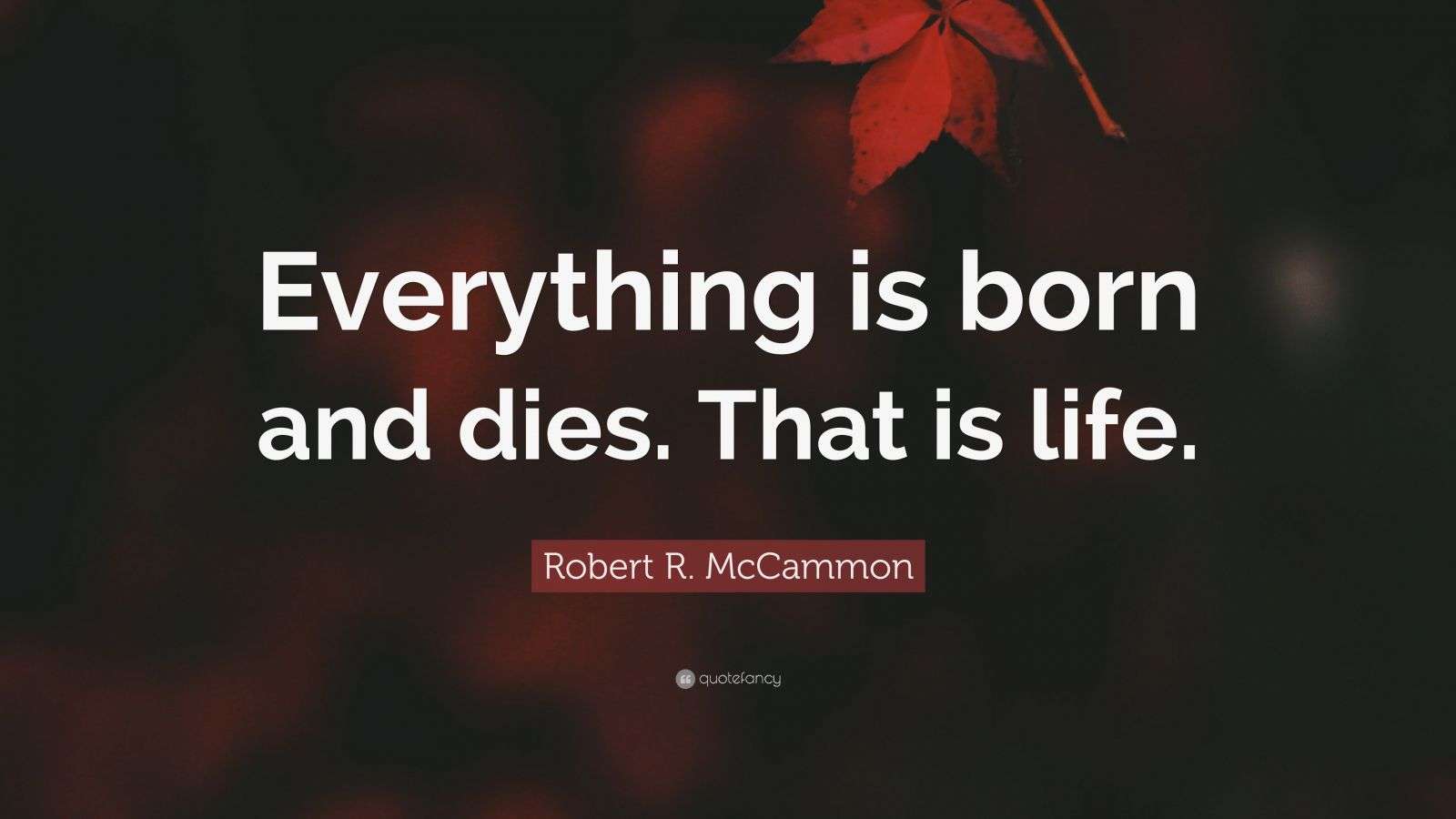 Robert R. McCammon Quote “Everything is born and dies. That is life.”