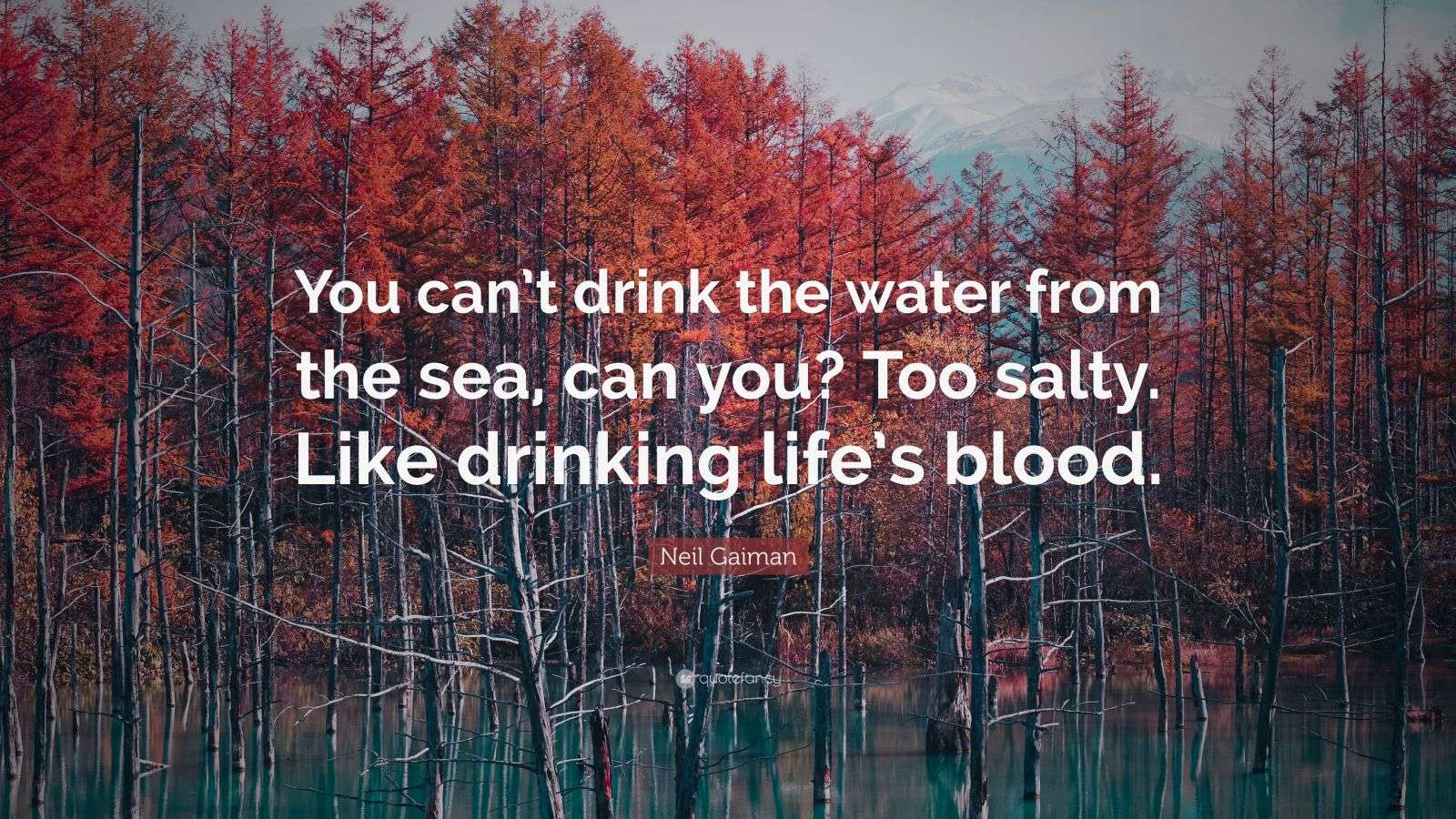 Neil Gaiman Quote “You can’t drink the water from the sea, can you